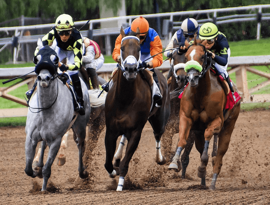 Preakness Stakes 