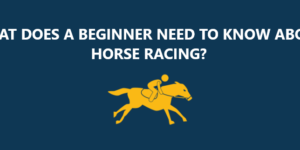 BEGINNER HORSE RACING